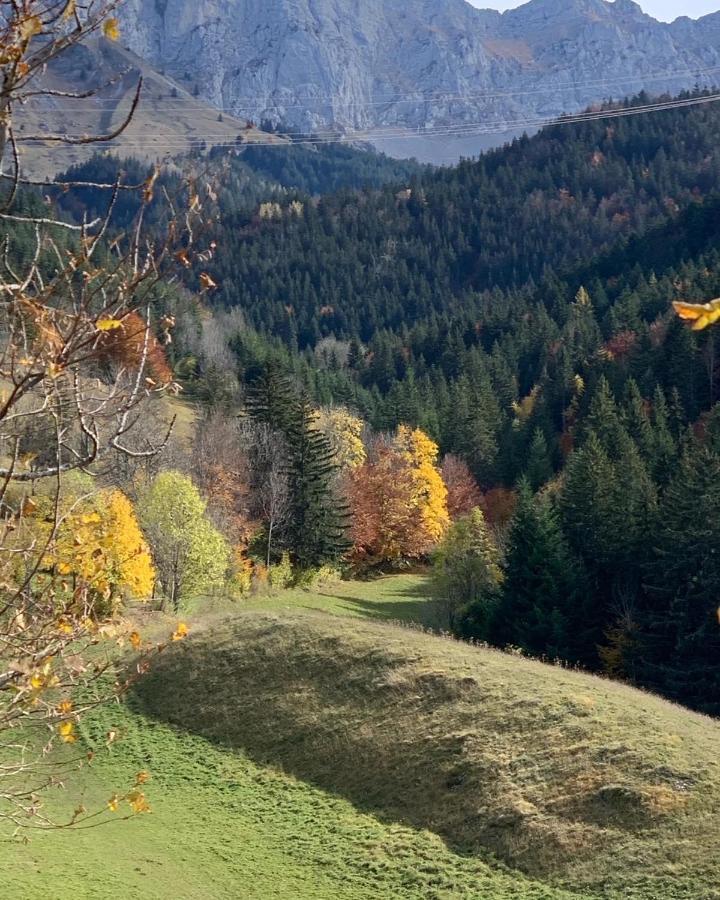 Bel Appart 3* Centre Village Villard-de-Lans Extérieur photo